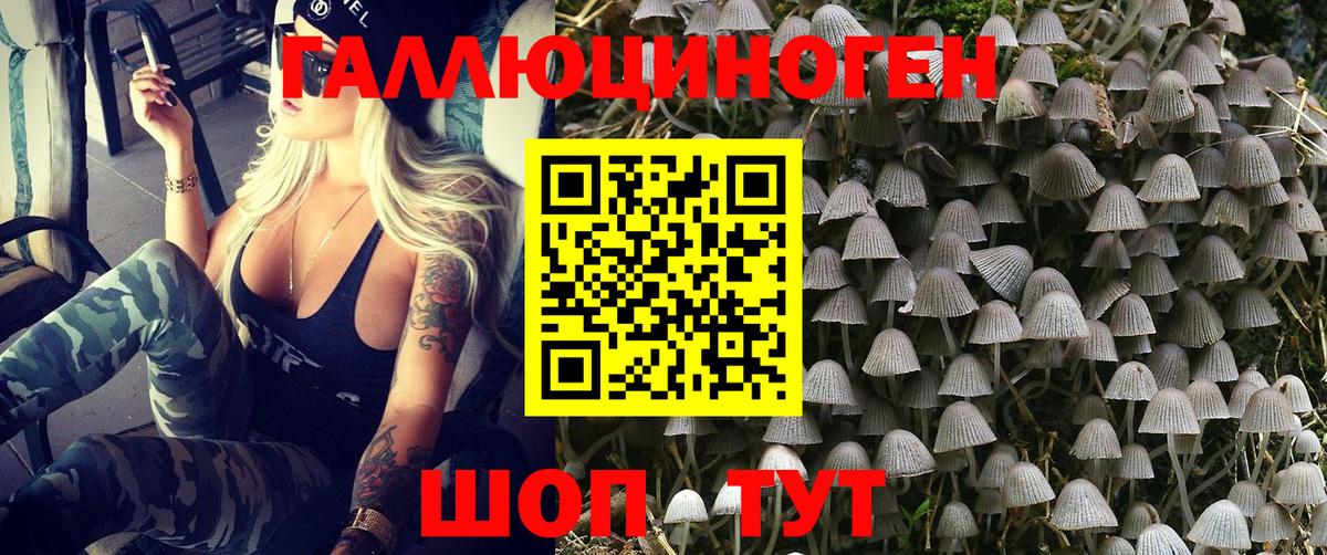 Маркс  Псилоцибиновые грибы Magic Shrooms  Вход с VPN 